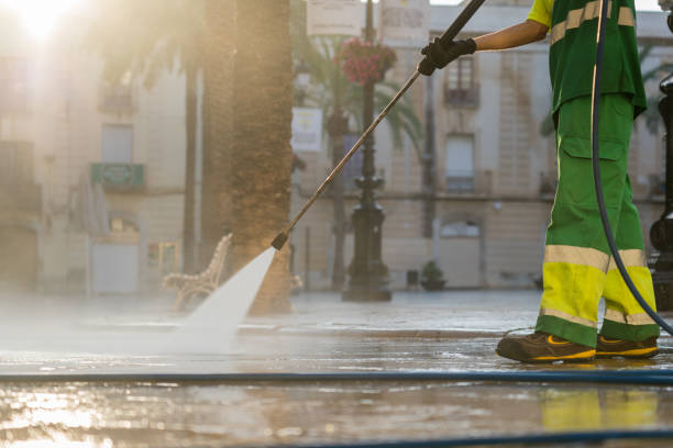 Best Roof Washing  in Coal Valley, IL